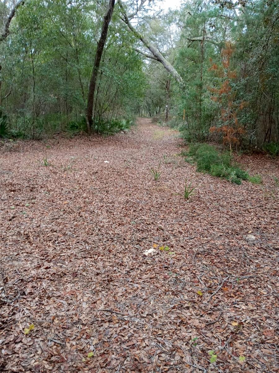 28093 Highway 42, FL