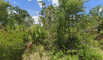 1484 Moree Street, FL