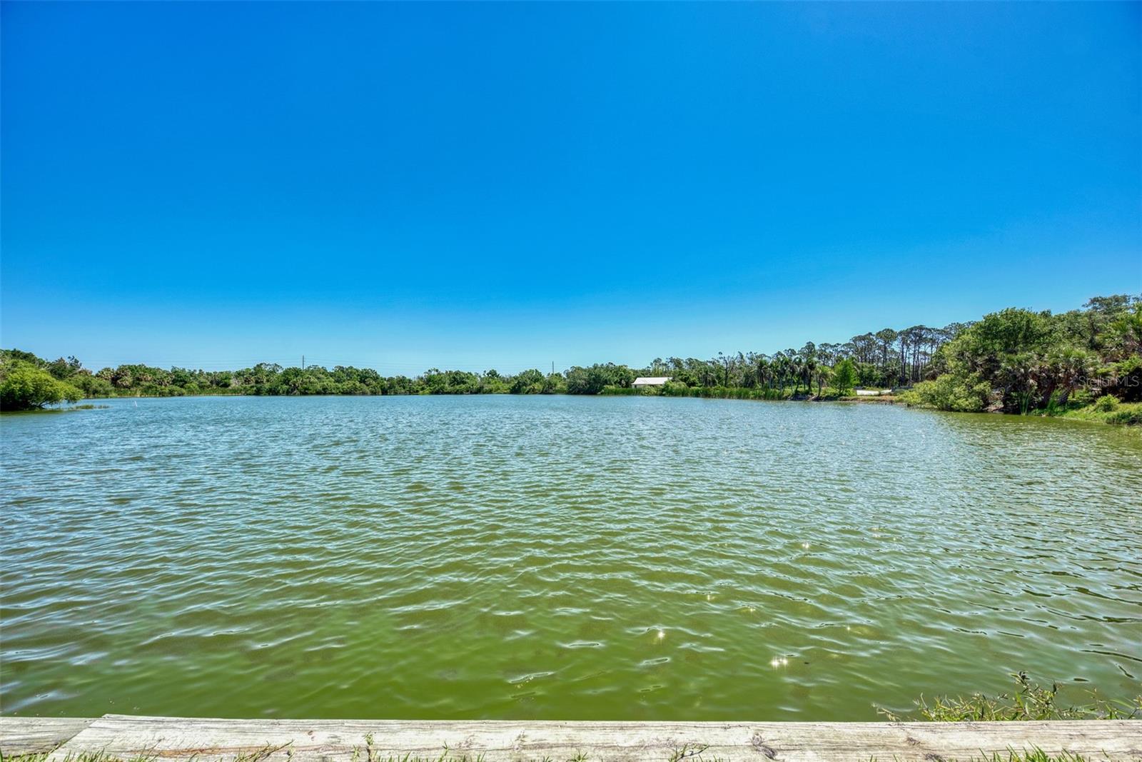 5885 Denison Drive, FL