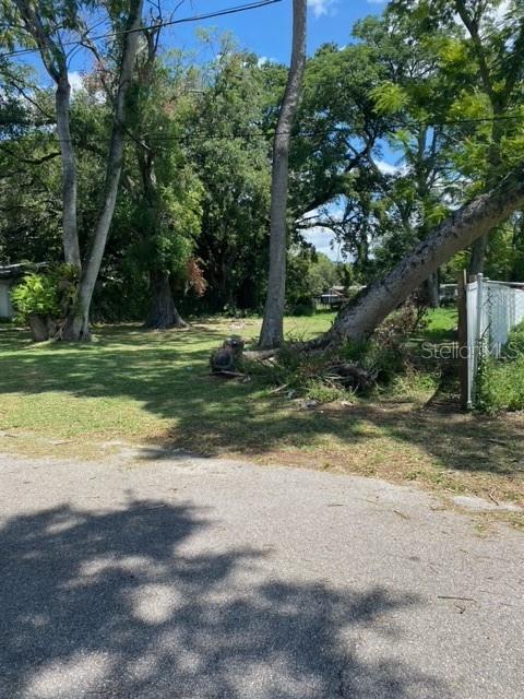 3100 Eunice Avenue, FL