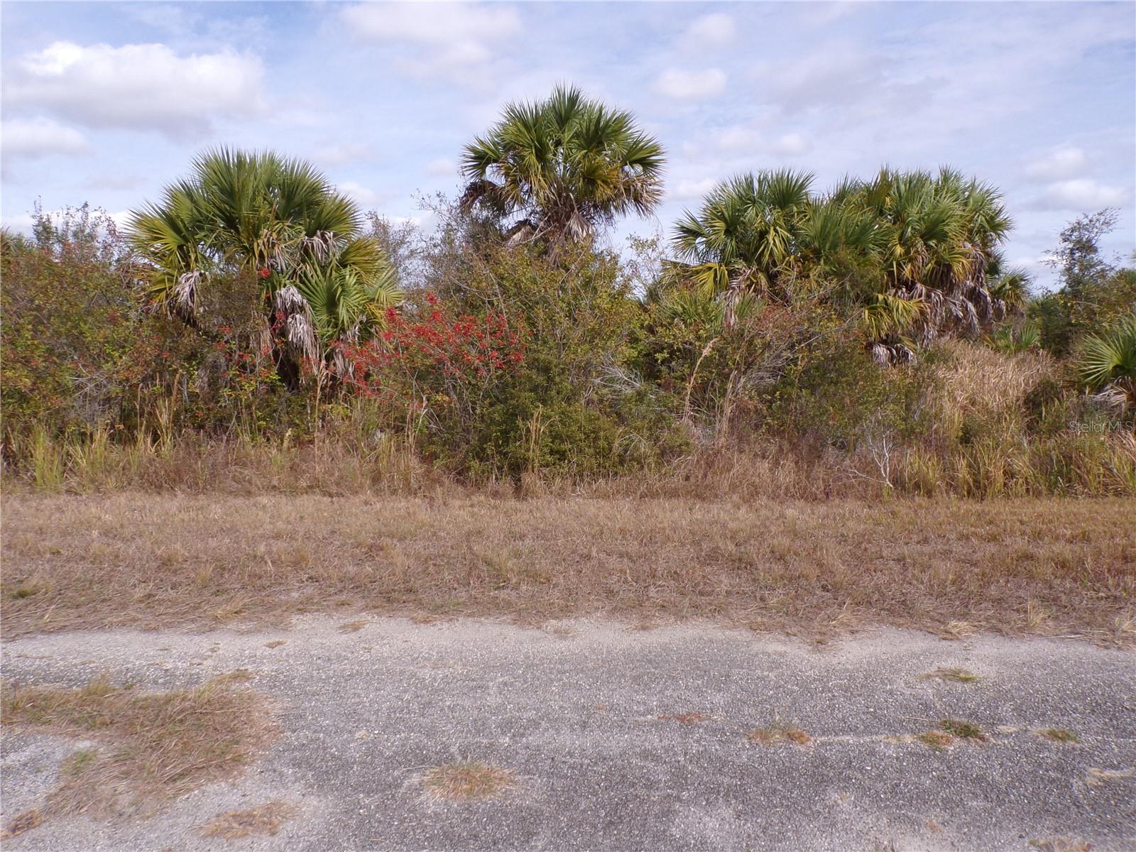 Magellan Street, FL