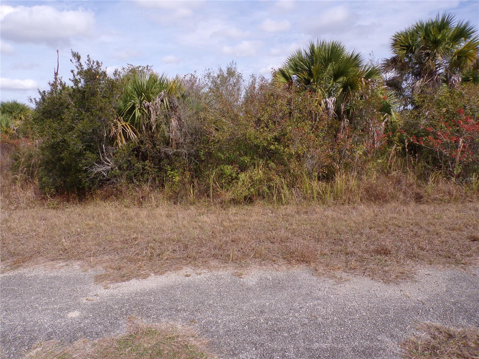 Magellan Street, FL