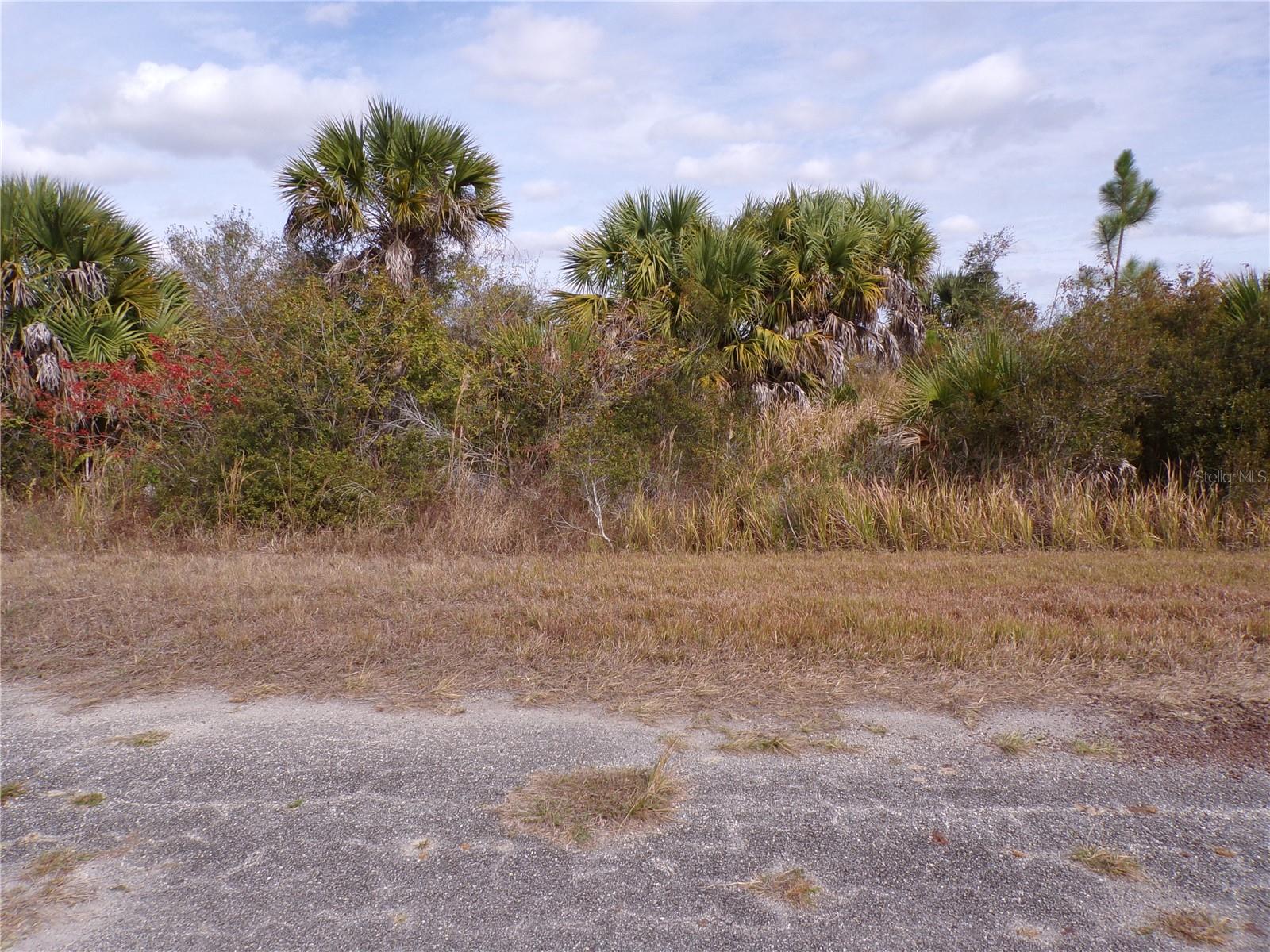 Magellan Street, FL