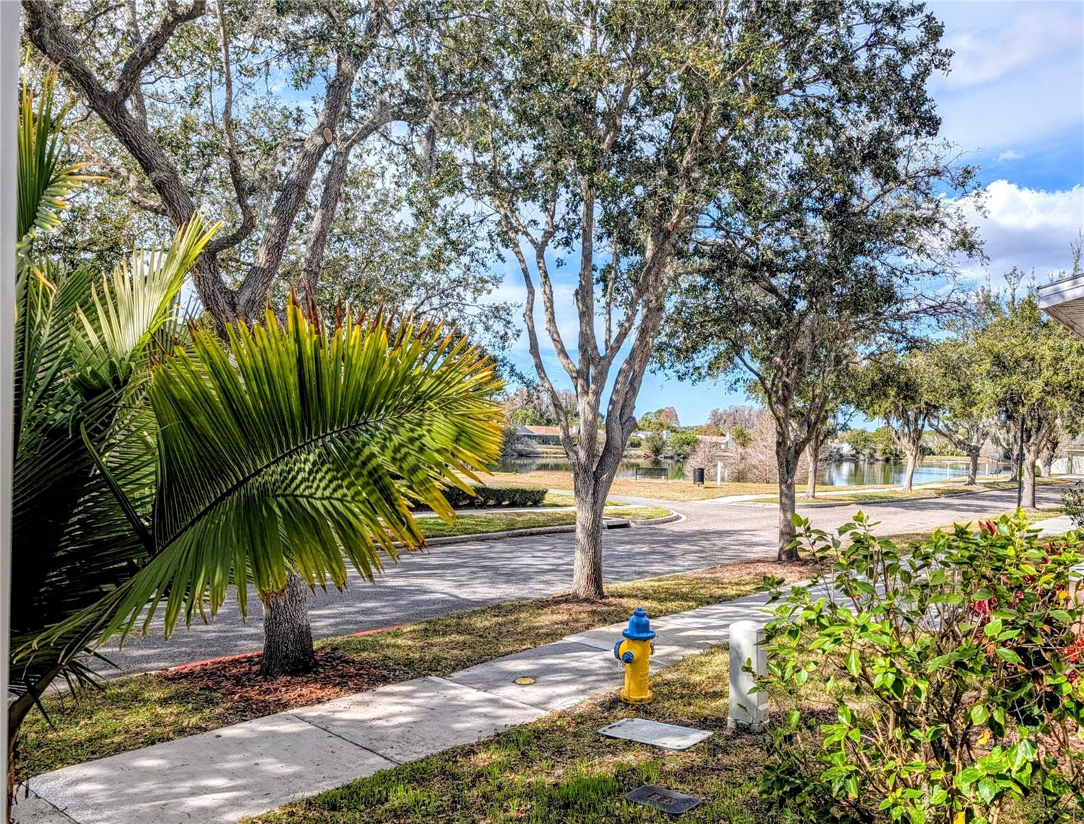 3618 Buffett Street, FL