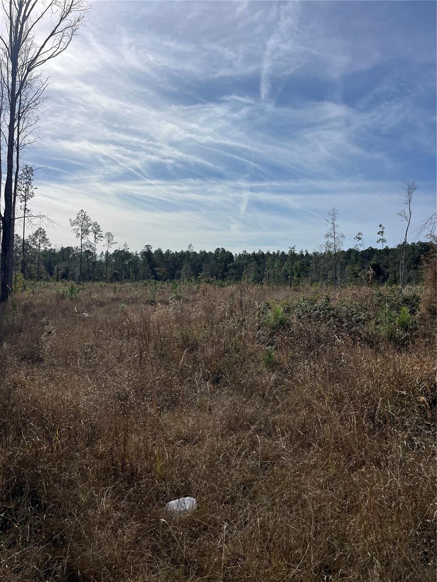 137th Place, FL