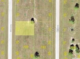 24 Chinaberry Way, FL