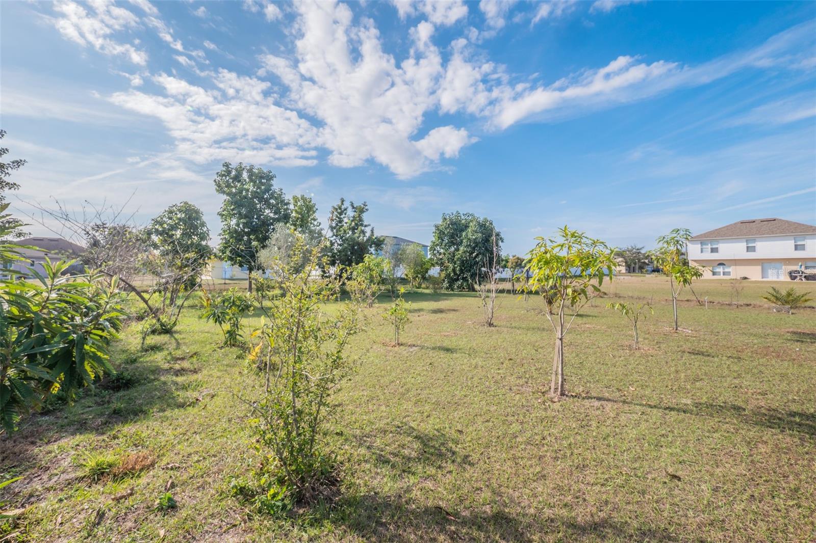 195 Aurelia Court, FL