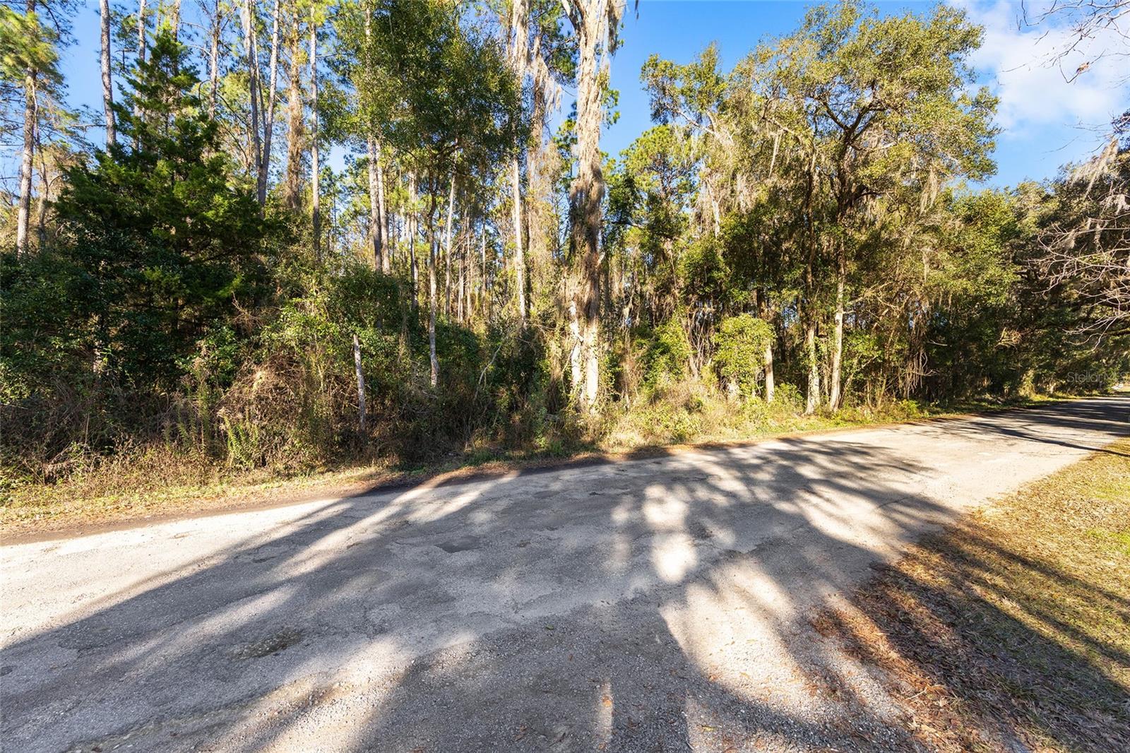 Tbd 125th Avenue, FL