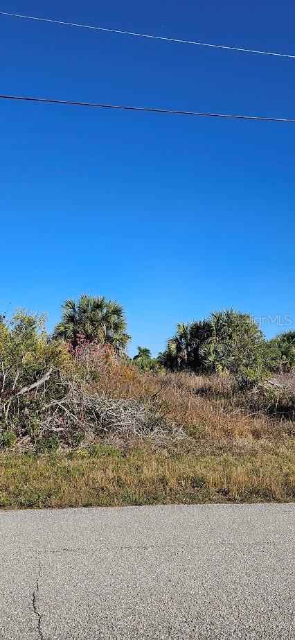 10460 Mcalester Circle, FL