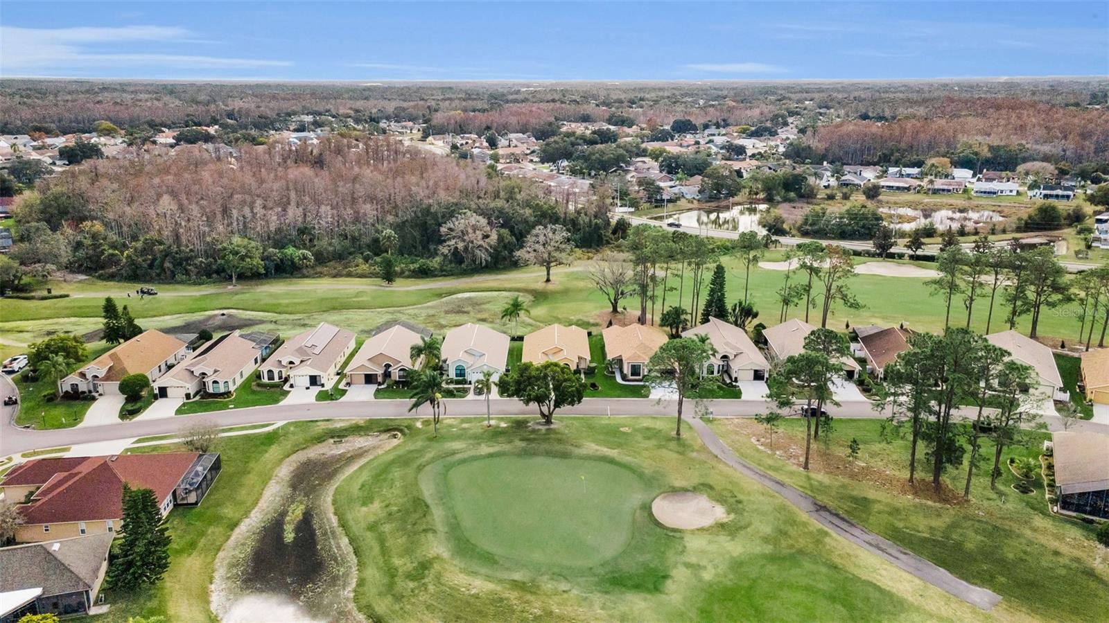 9630 Green Needle Drive, FL