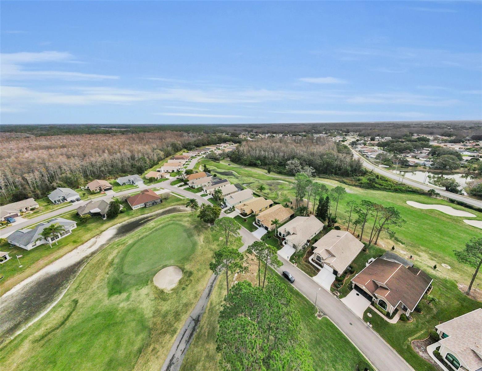 9630 Green Needle Drive, FL
