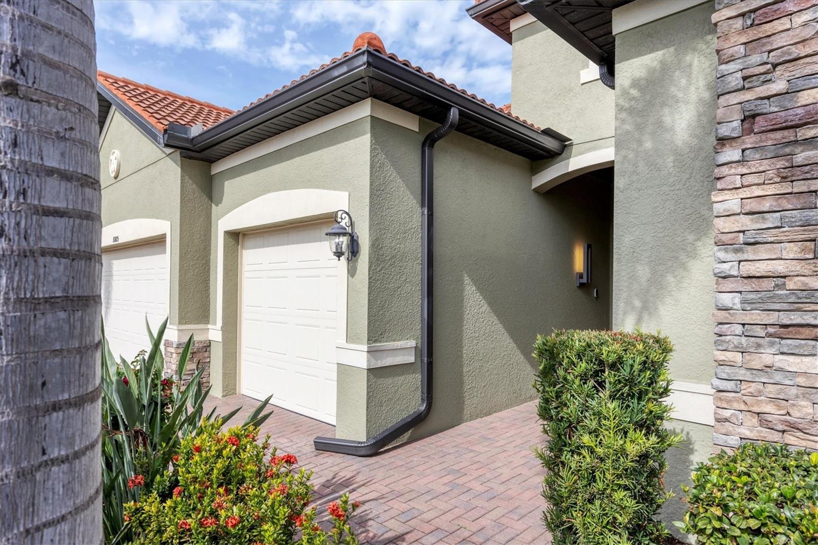 10805 Whisk Fern Drive, FL