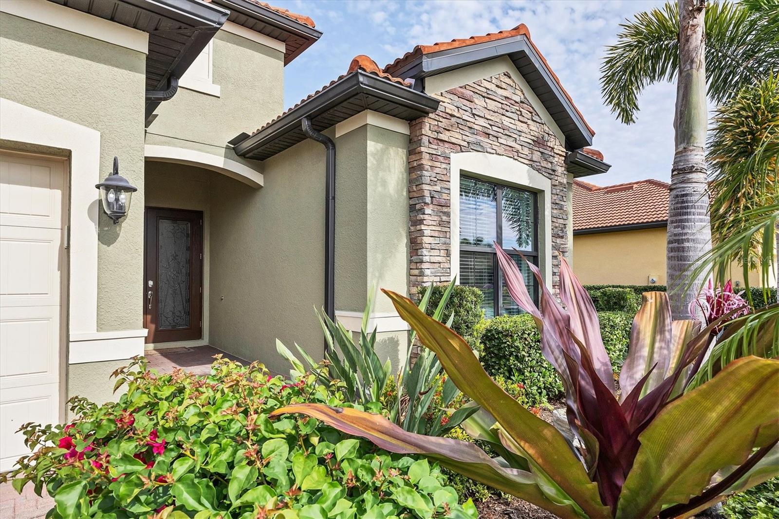 10805 Whisk Fern Drive, FL
