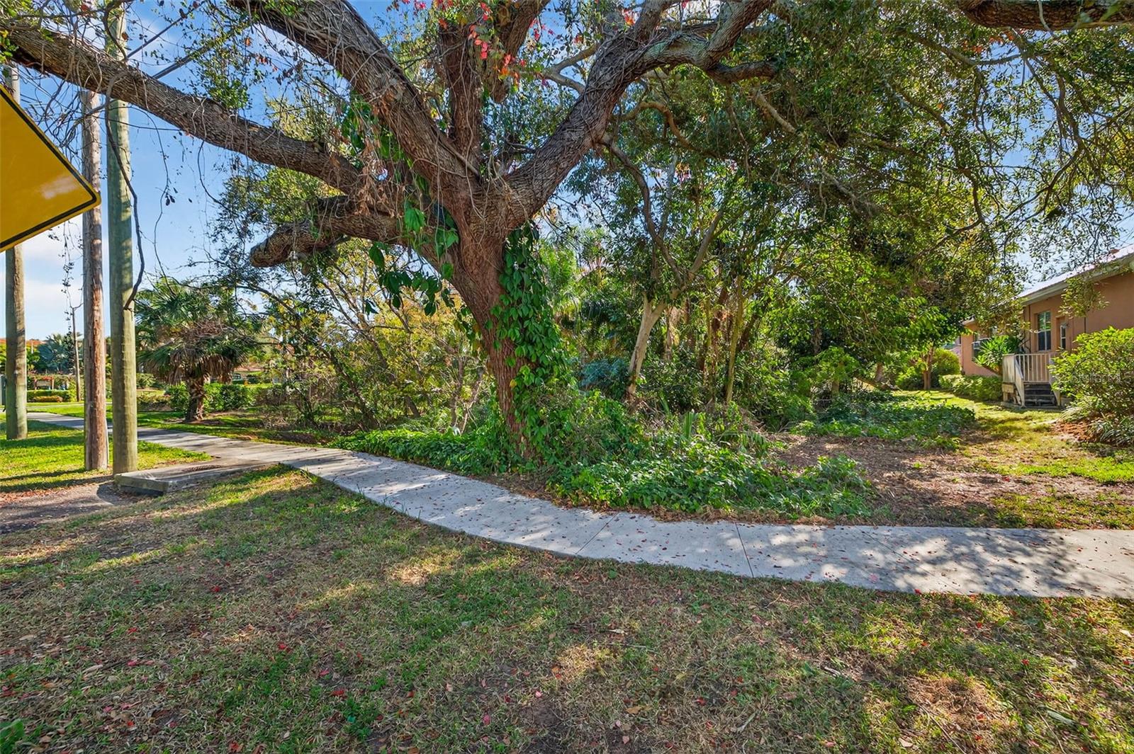 Royal Palm Drive, FL