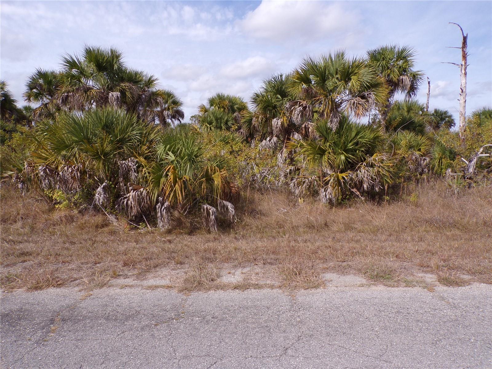 Fireglow Circle, FL