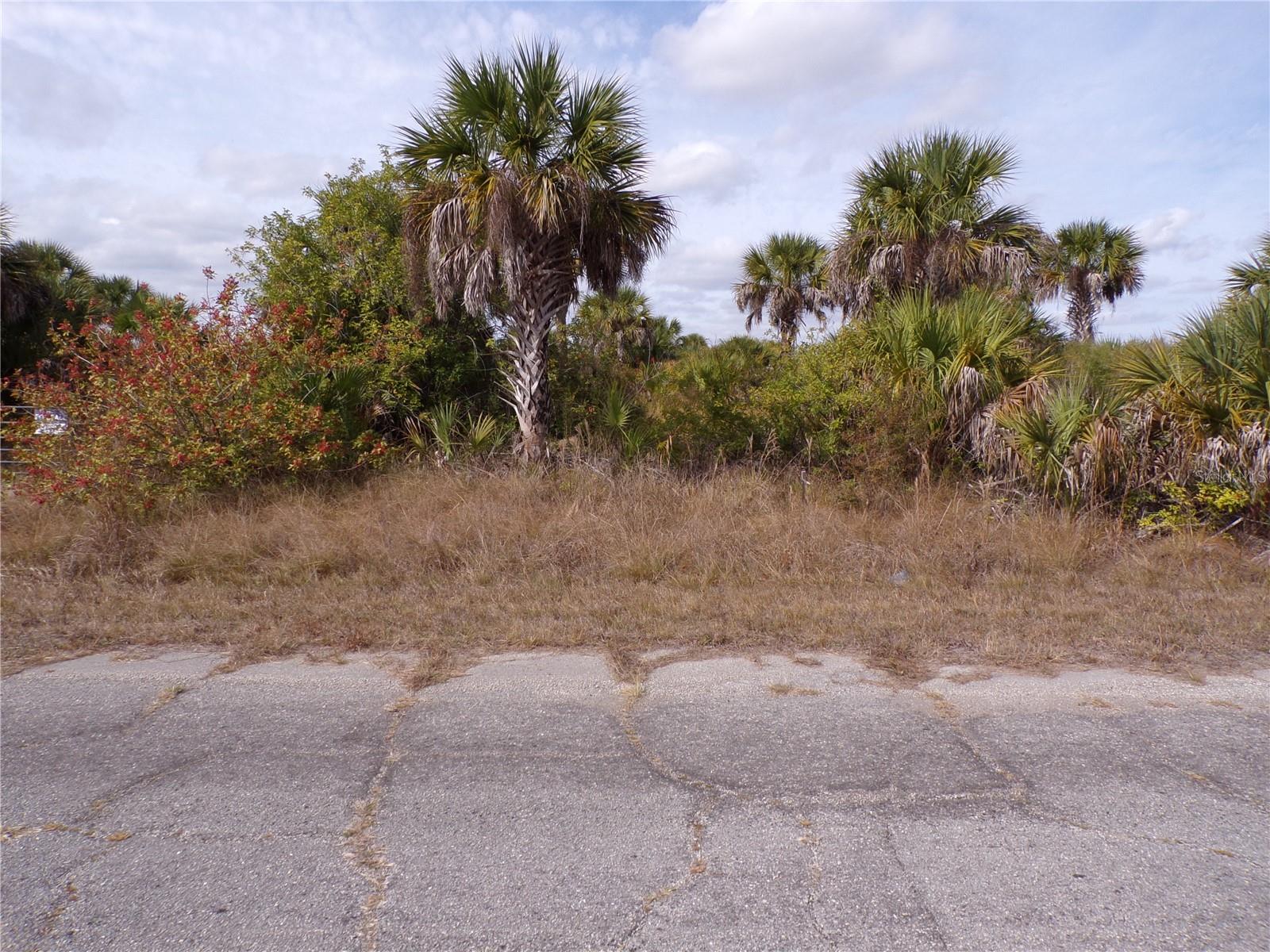 Fireglow Circle, FL
