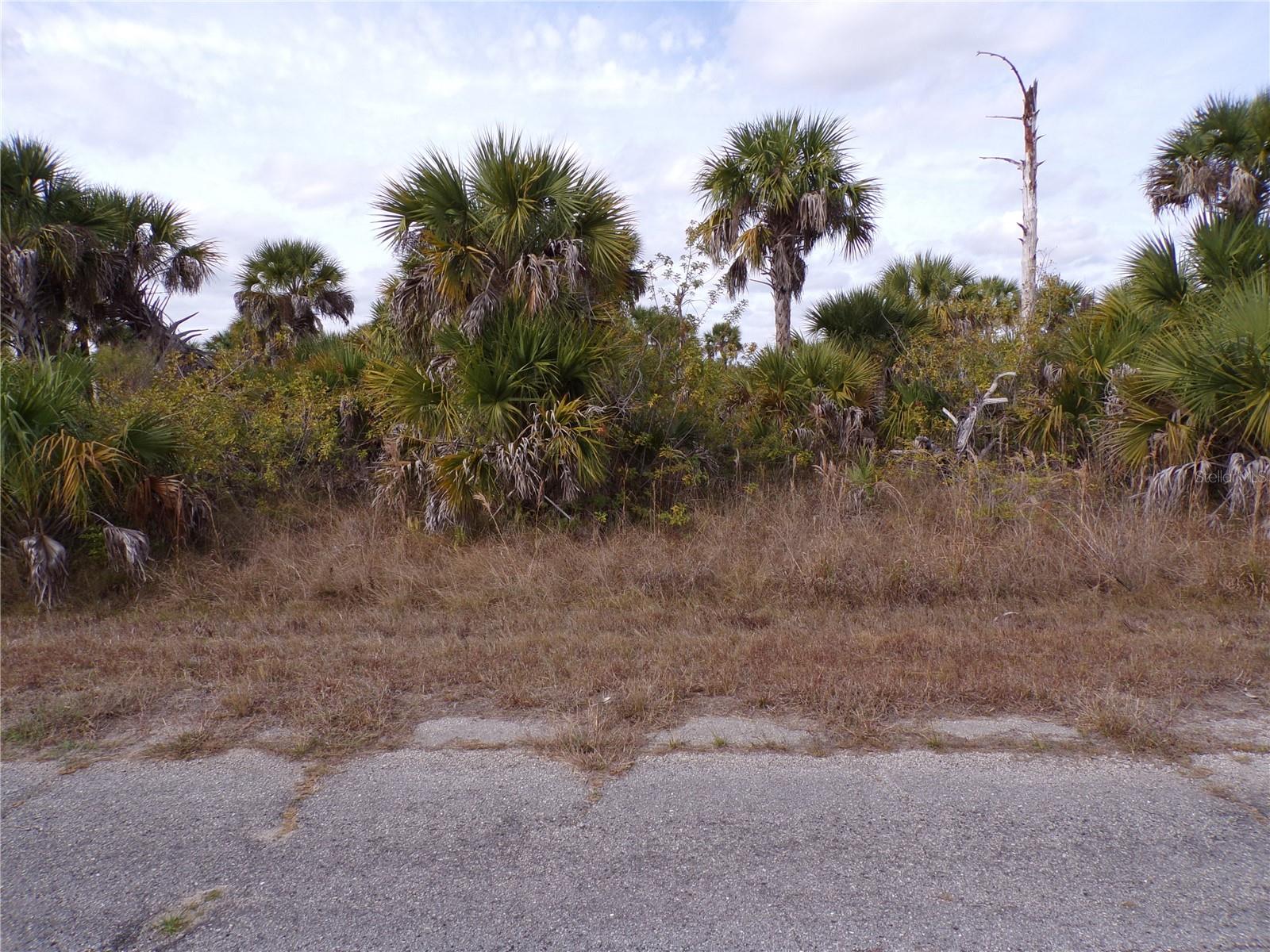 Fireglow Circle, FL