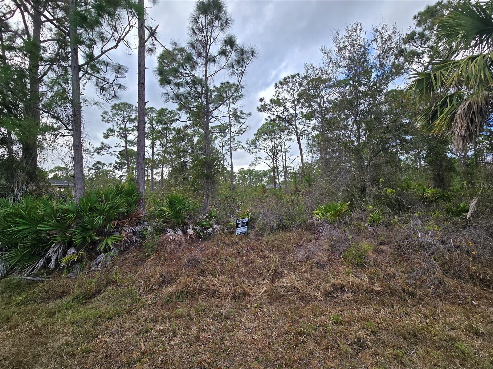 27571 Sandrala Drive, FL