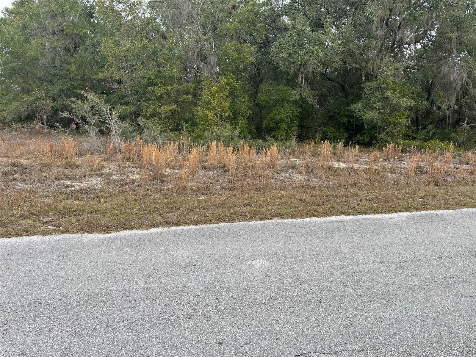 Shorewood Drive, FL