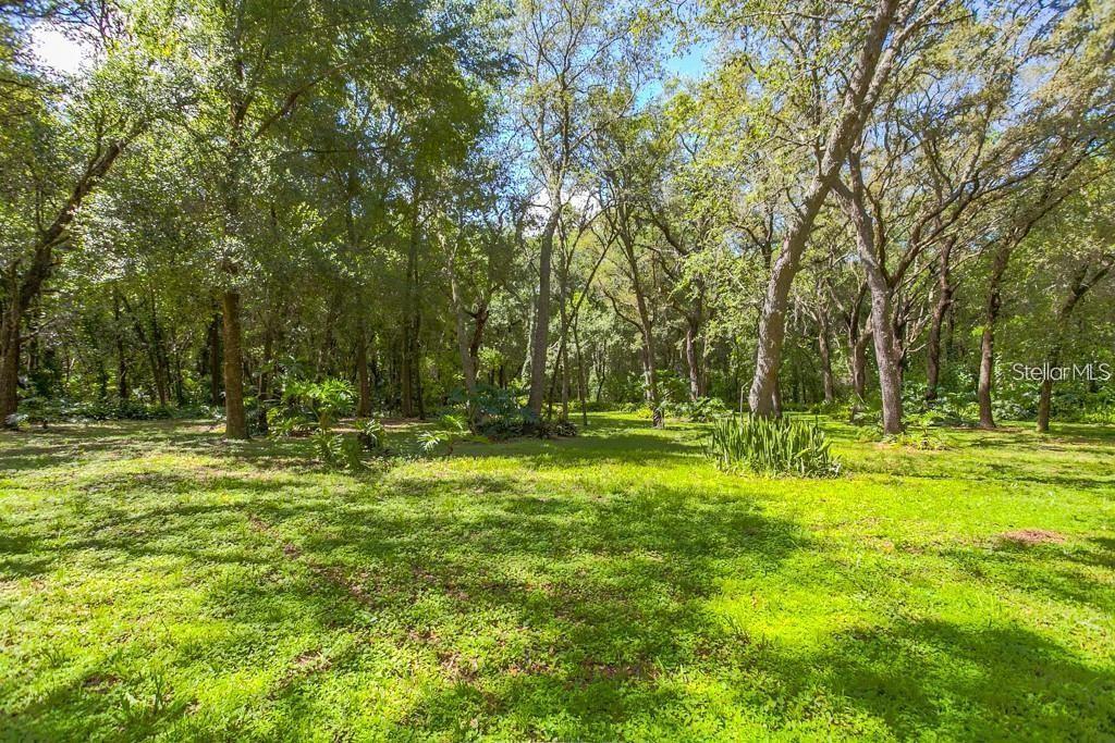 425 Hiawassee Rd Road, FL