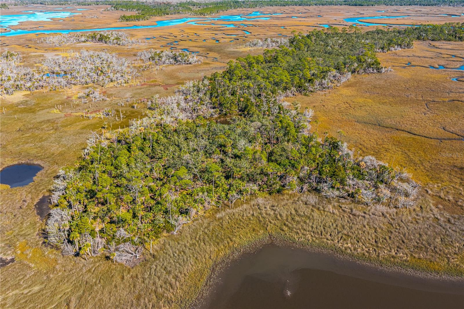 Clark Island, FL