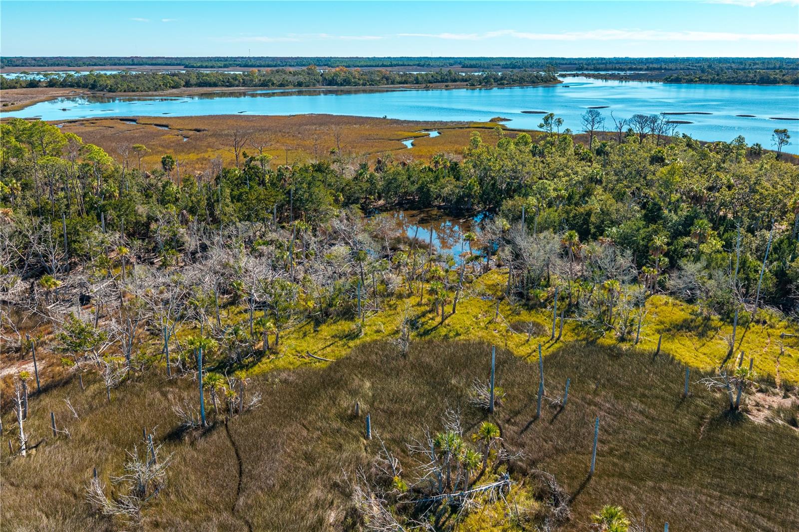 Clark Island, FL