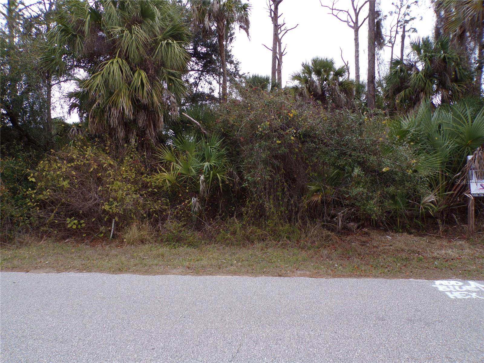 Music Lane, FL