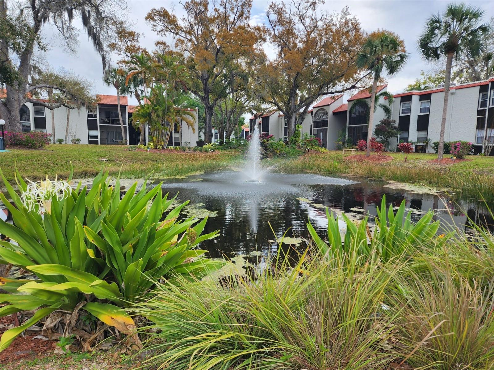 3249 Beneva Road, FL
