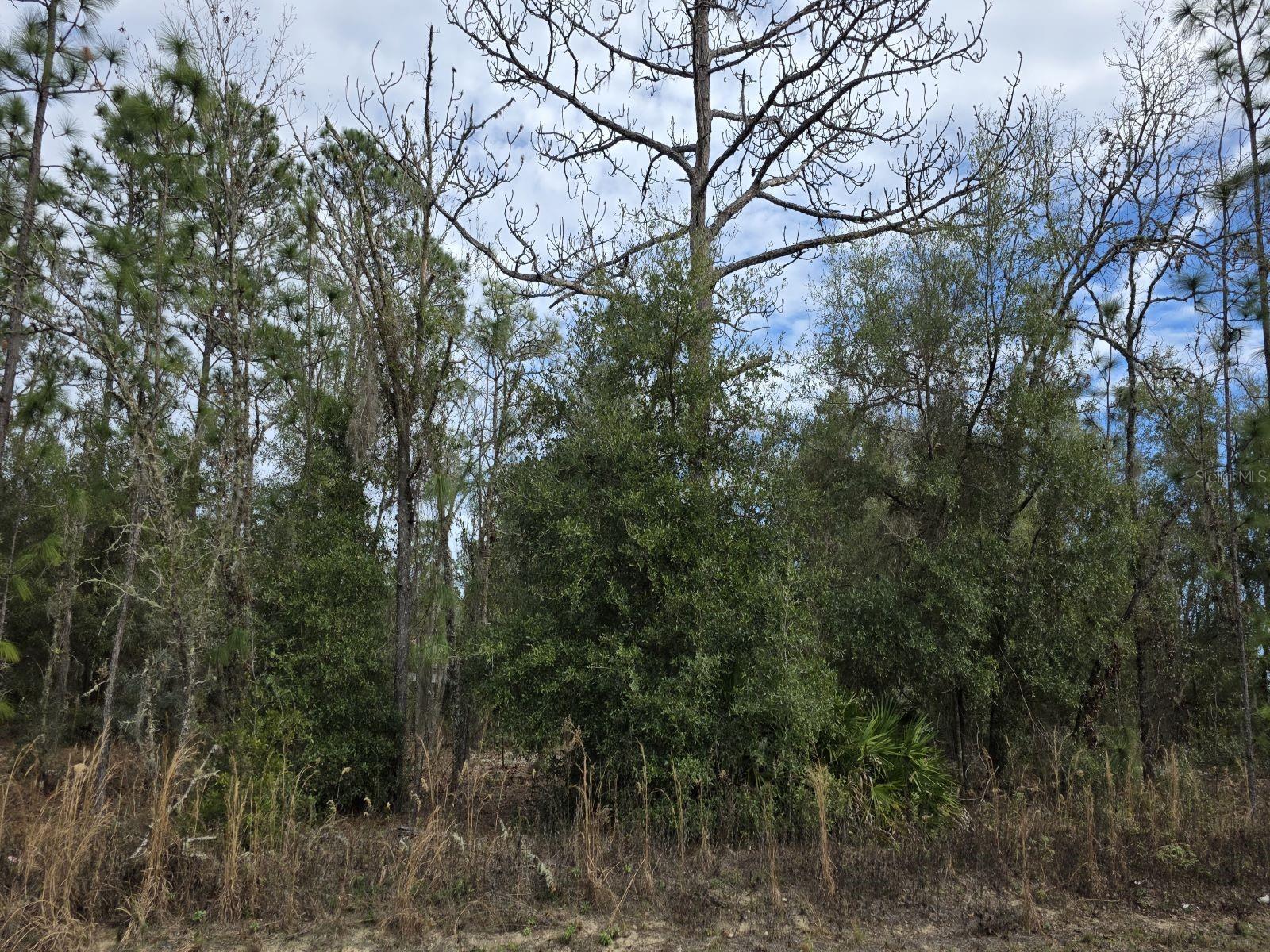 141st Court, FL