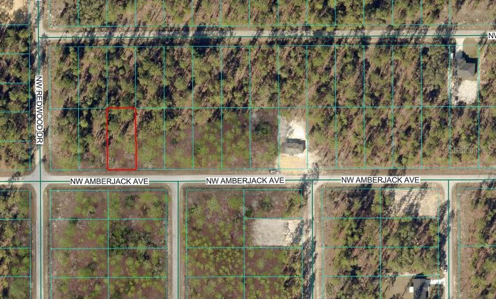 Amberjack Avenue, FL