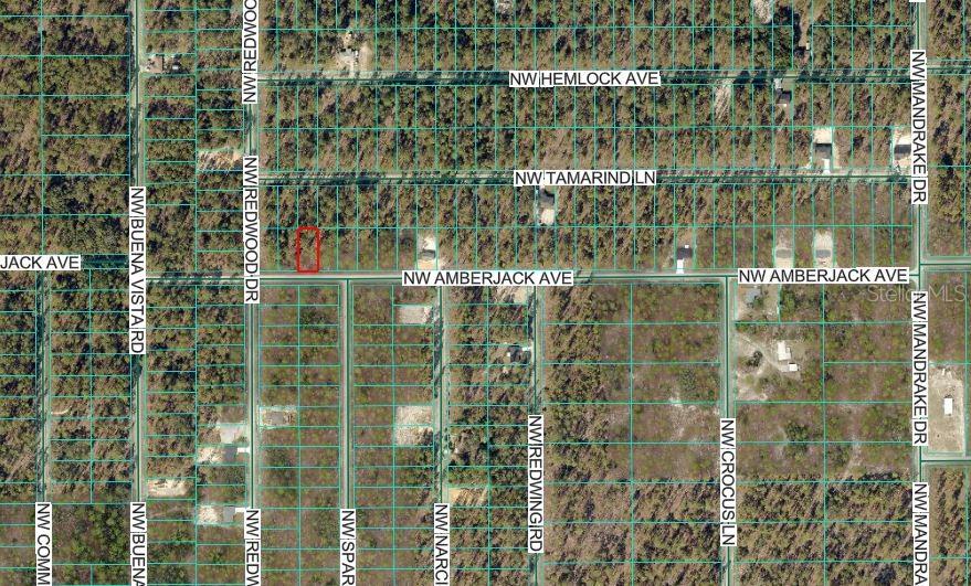 Amberjack Avenue, FL