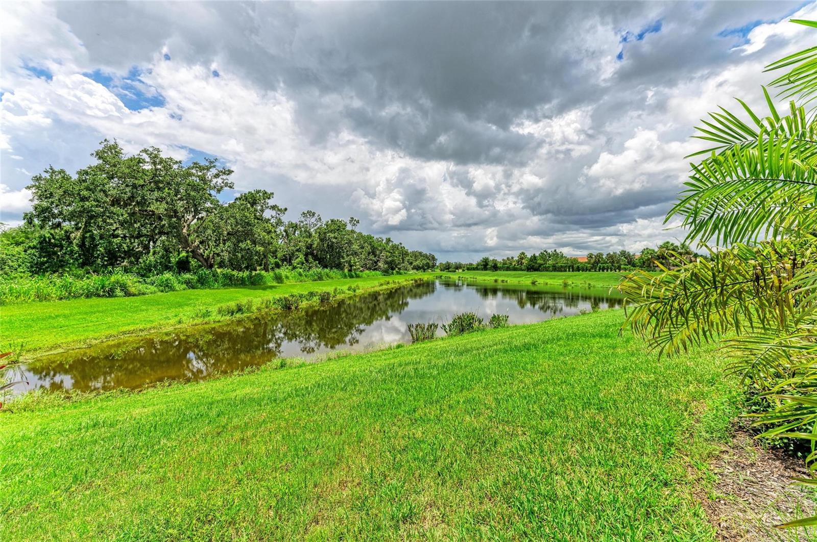 13819 Swiftwater Way, FL
