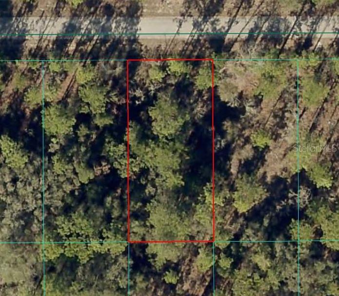 Nw Banyan Ln, FL