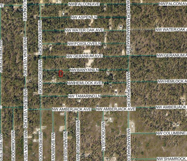 Nw Banyan Ln, FL