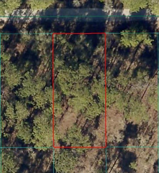24394 Water Oak Avenue, FL