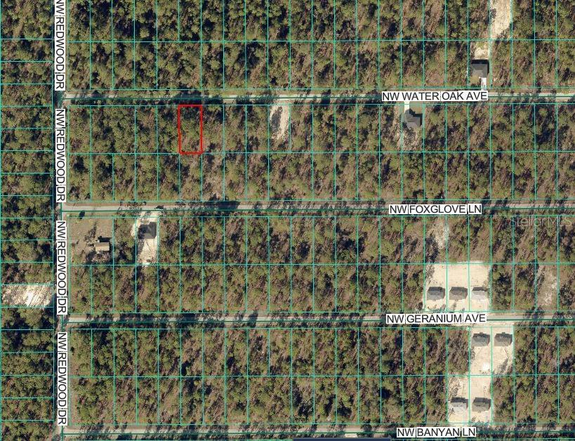 24394 Water Oak Avenue, FL