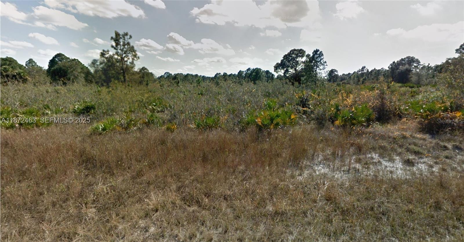 1132 Randan Street, FL
