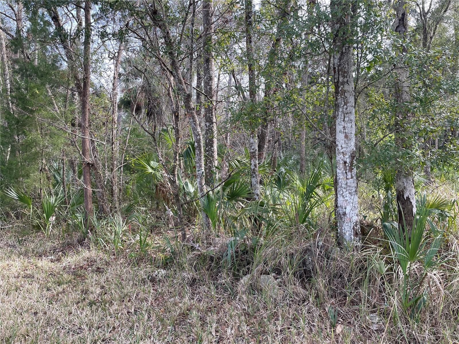 11106 Townsend Lane, FL