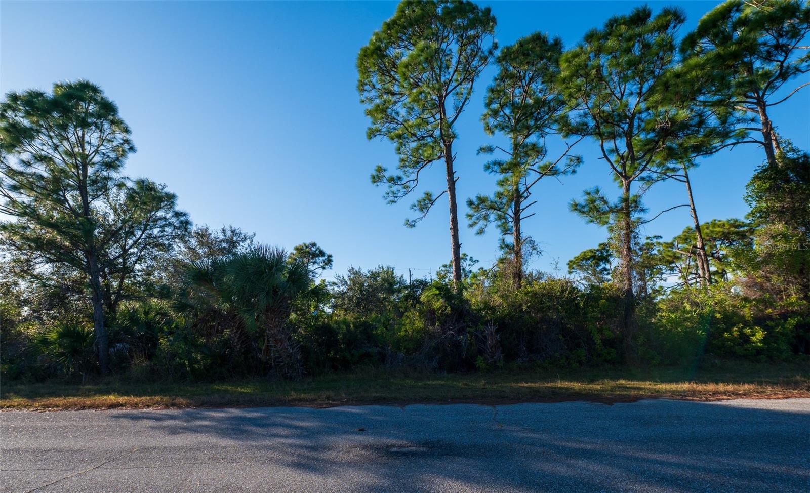 8281 Dimstead St., FL