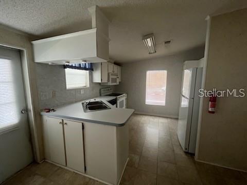 232 Nesbitt Park Avenue, FL
