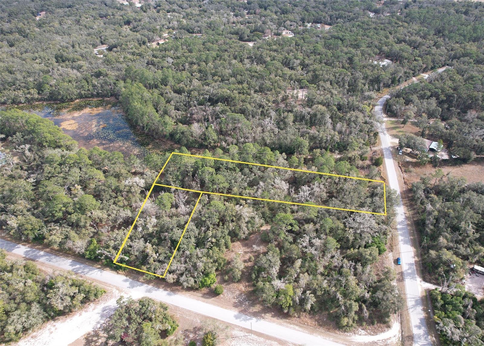 Lewis Lane, FL