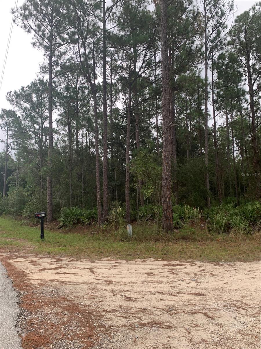 Oil Well Road, FL