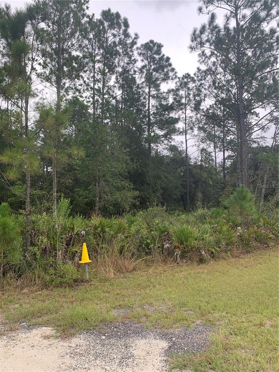 Oil Well Road, FL