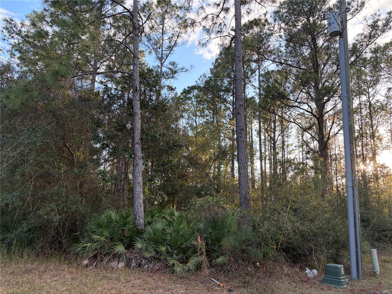 Oil Well Road, FL