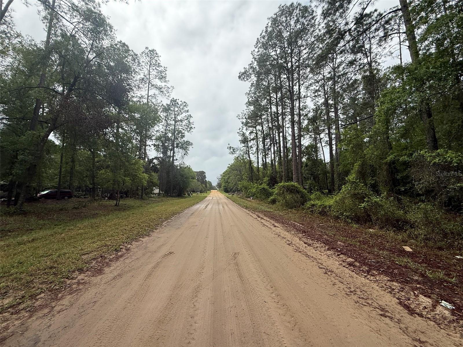 Seminole Avenue, FL