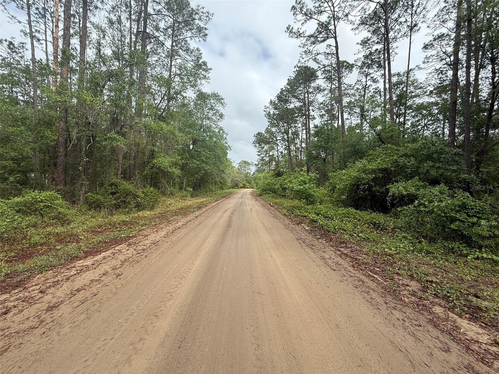 Seminole Avenue, FL