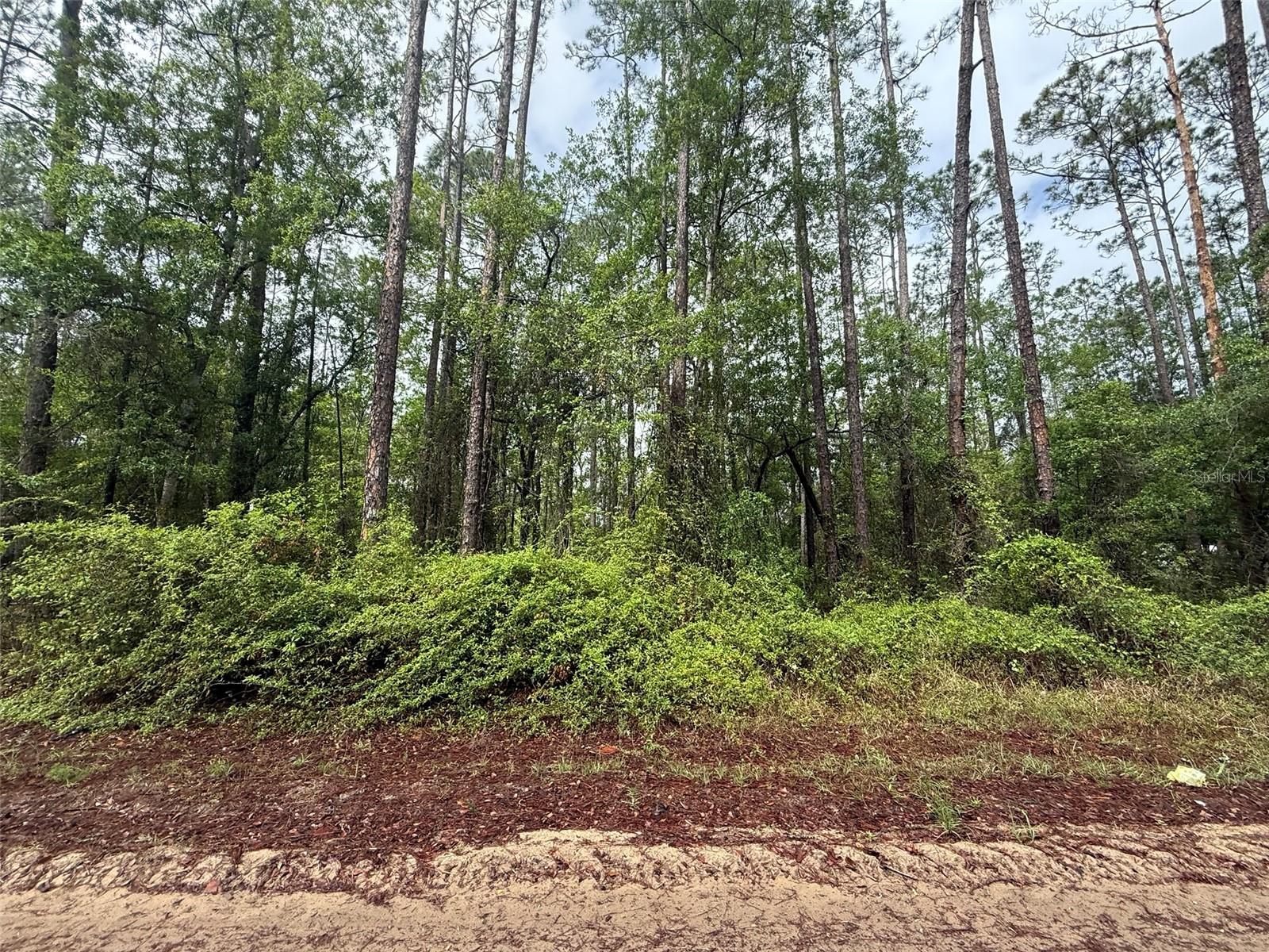Seminole Avenue, FL
