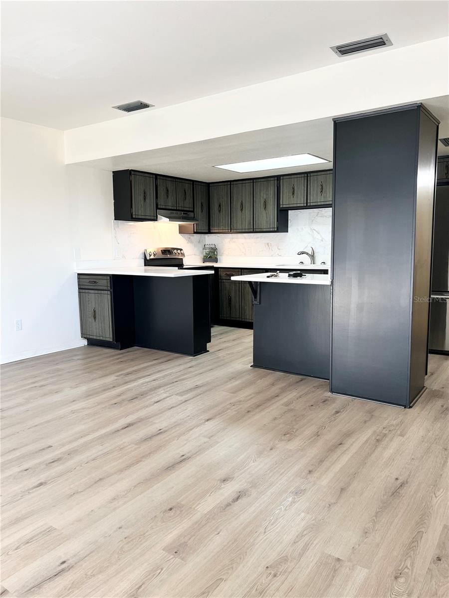711 Springer Drive, FL