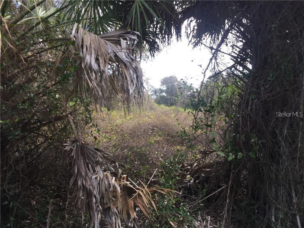 Lot 9 Honeycomb Circle, FL