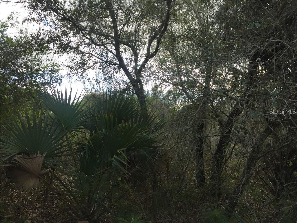 Lot 9 Honeycomb Circle, FL